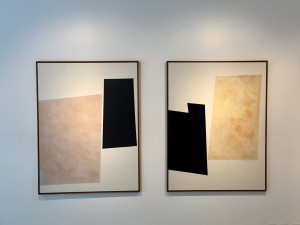 skin to skin 125x95 cm e second skin 125x95 cm por fabi loos